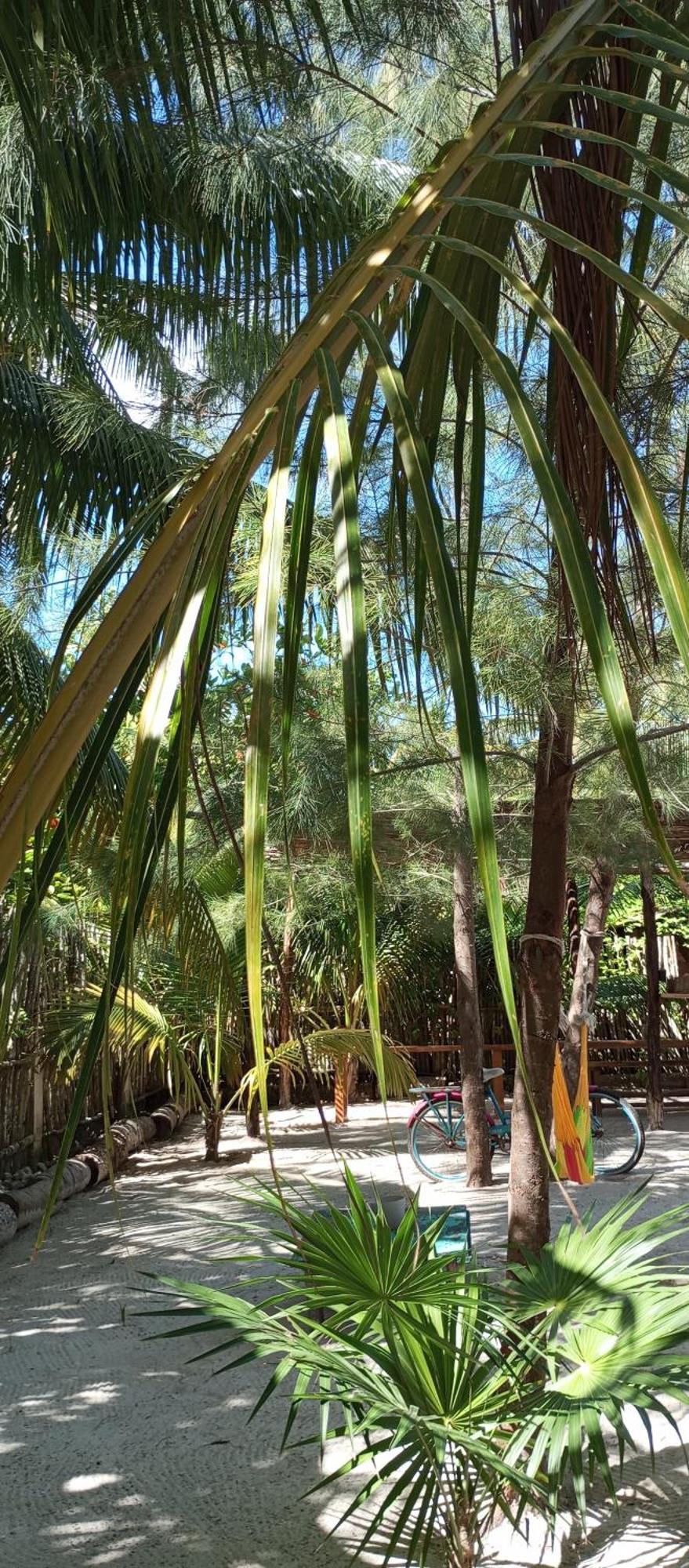El Regalo El Cuyo Hotel ภายนอก รูปภาพ